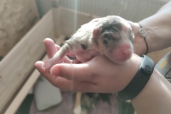 IMG_20221213_143534