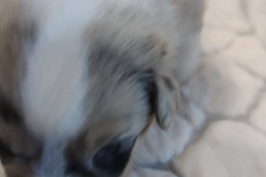 IMG_20221231_100905