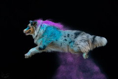 aura-2