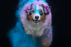 aura-3