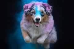 aura-6