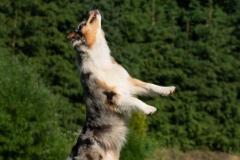 cropped-ZKO-Podhorka-6396-scaled-1